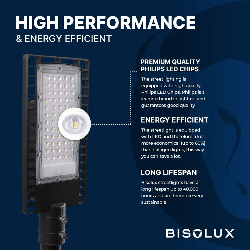 Bisolux LED Straatverlichting Garry, 60 Watt, 6000k koud wit, 5 jaar garantie