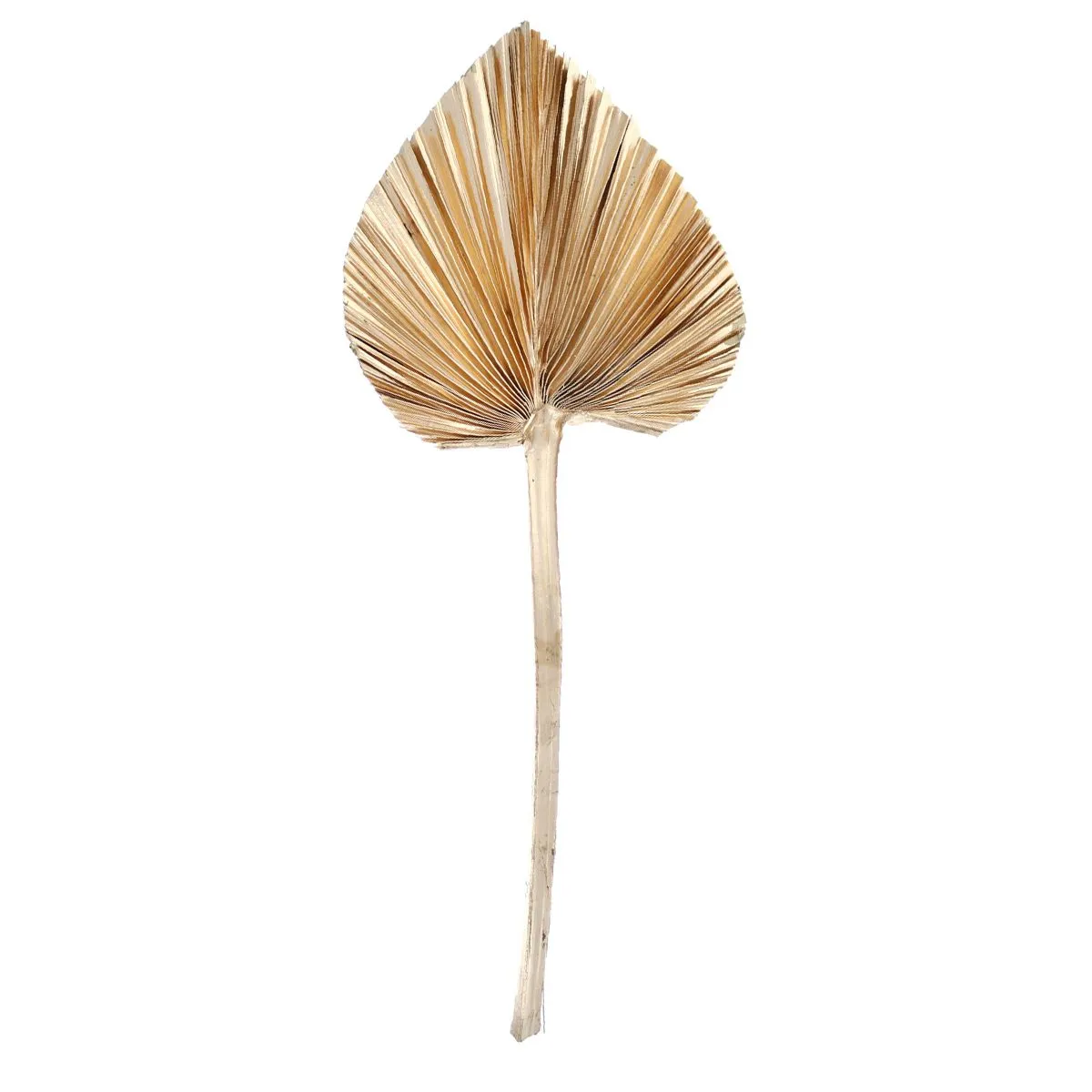 Golden Palm Leaf 10-15 cm - Jasmin Workshop - Le Petit Souk
