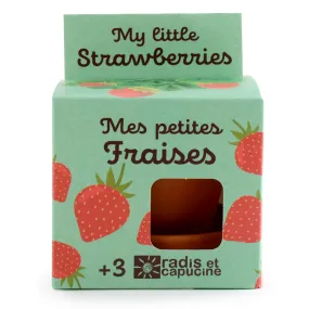 Kit "Graines à planter" : fraises.