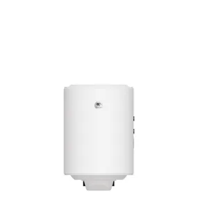 PECS ballon Echangeur 100L vertical mural (884410)