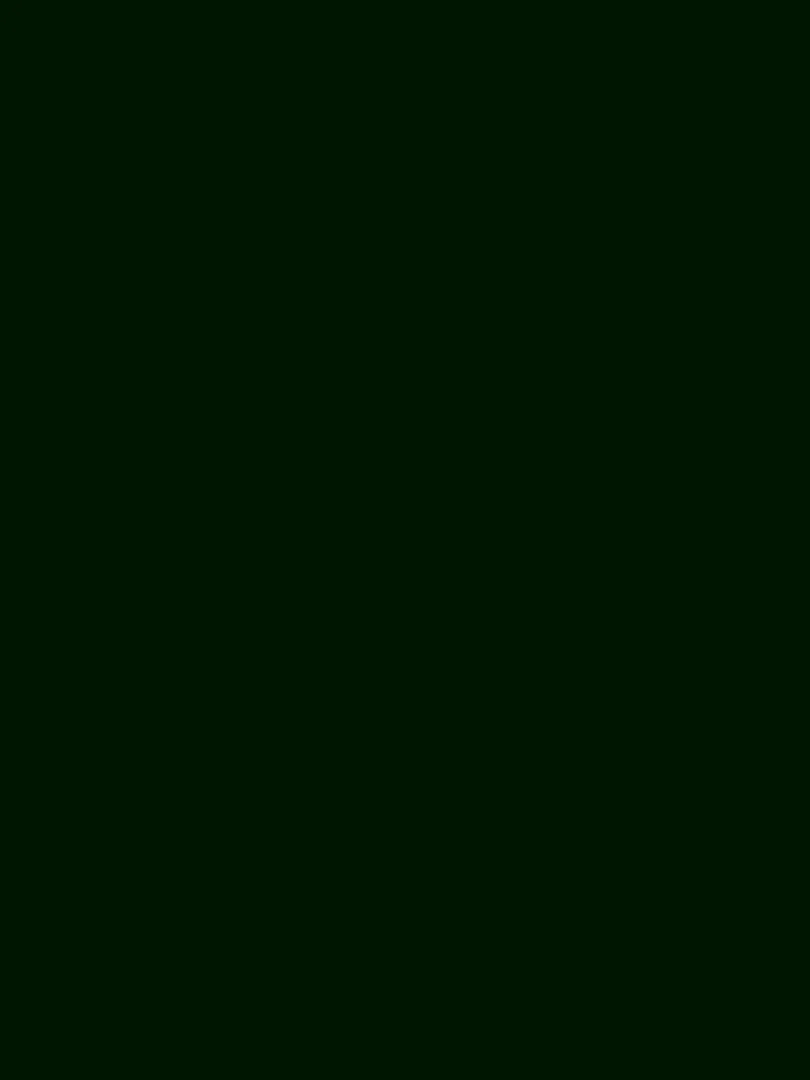 Ceramic and Multi-Surface Paint - Leaf Green - 45 ml - Not Available.