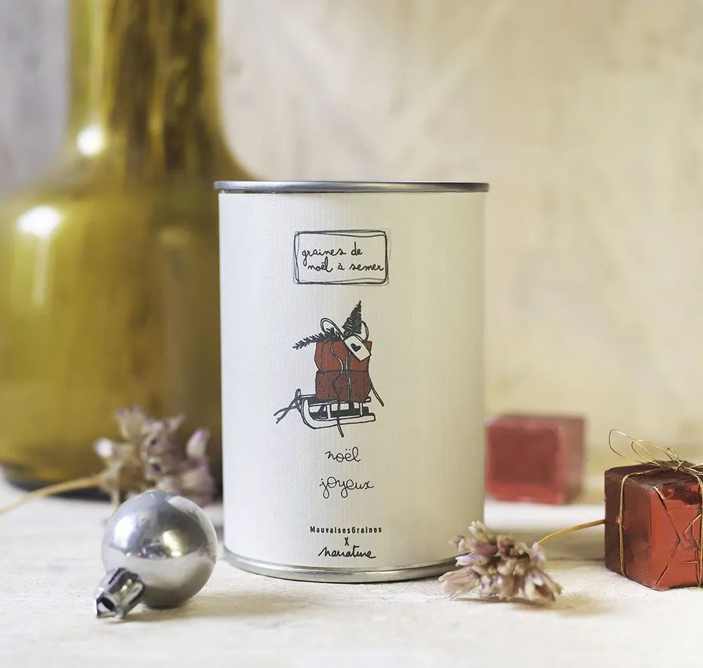 Seed kit\" merry christmas\ "
